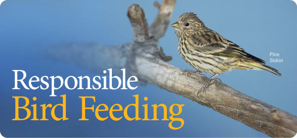 Responsible Bird Feeding
