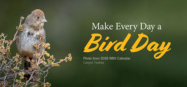 FREE CALENDAR 2025