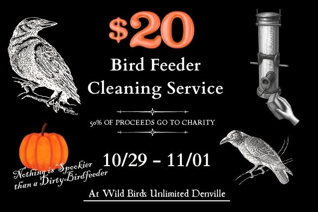 birdfeeder cleaning